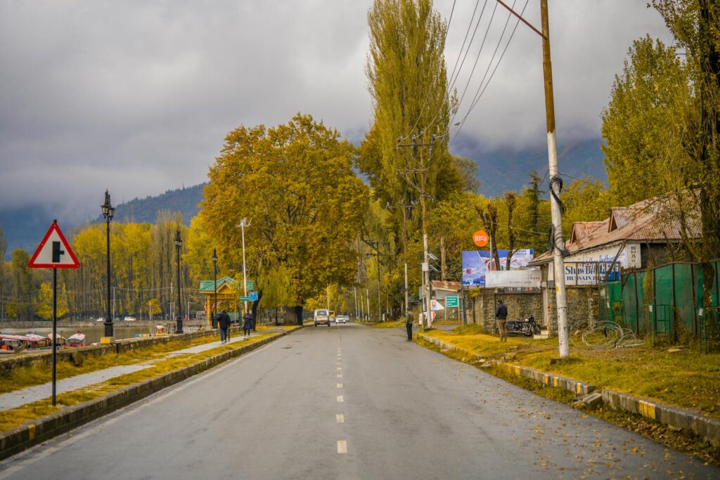 Asphalt Road in Kashmir, India in Autumn